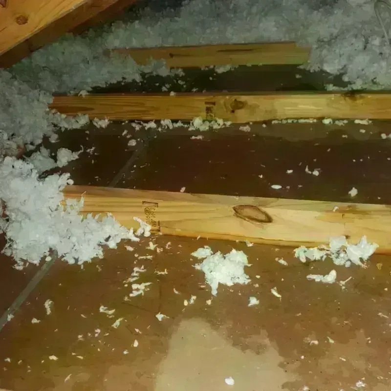 Attic Water Damage in Allen Parish, LA