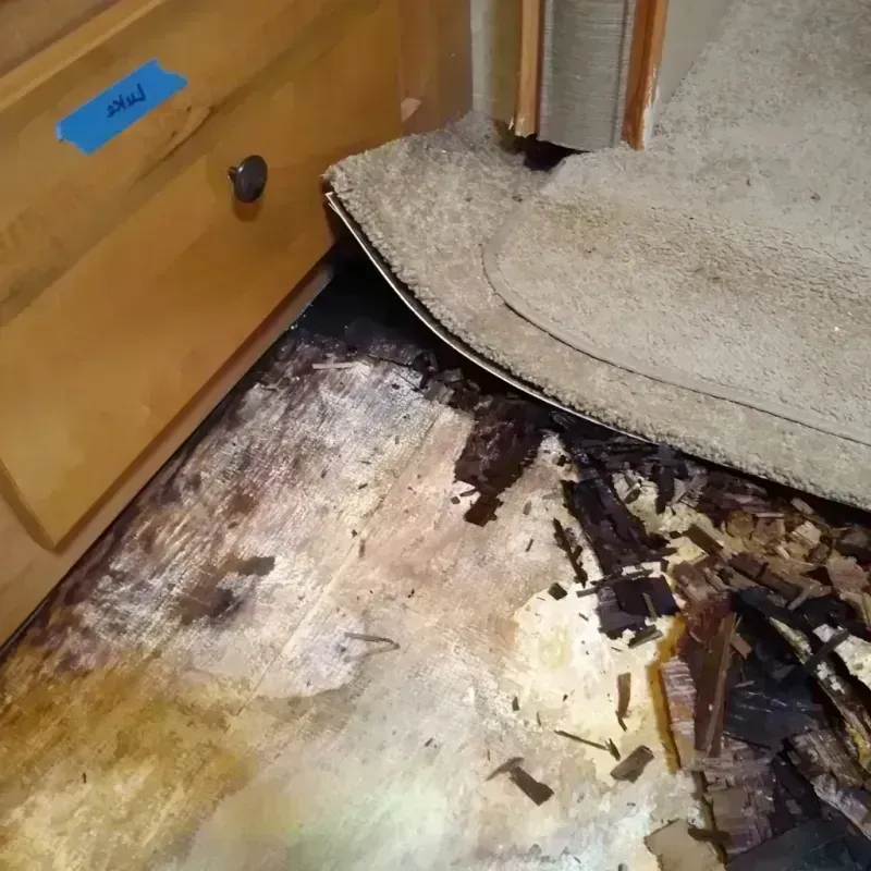 Best Wood Floor Water Damage Service in Allen Parish, LA